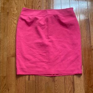 Pink Women's Skirt